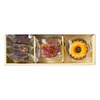 NNホシフルーツ　焼菓子アソートA