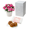 【5/6~9お届け 母の日】ホシファーム カーネーション&徳島なると金時のどら焼き