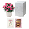 【5/6～9お届け　母の日】ホシファーム　カーネーション＆焼菓子アソート
