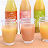 美食ファクトリー　よりどり果実搾りB