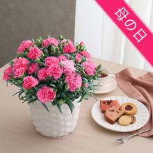 【5/6～9お届け　母の日】ホシファーム　カーネーション＆焼菓子アソート