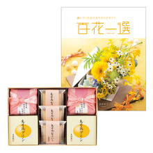 烏鶏庵　烏骨鶏菓子3種7個詰合せと百花一選 はまゆう