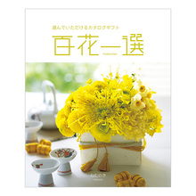 百花一選　ねむのき