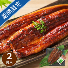 浜名湖謹製　特大サイズうなぎ蒲焼2尾