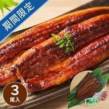 浜名湖謹製　特大サイズうなぎ蒲焼3尾