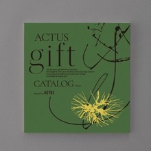 ACTUS（アクタス）　NAGI（凪）