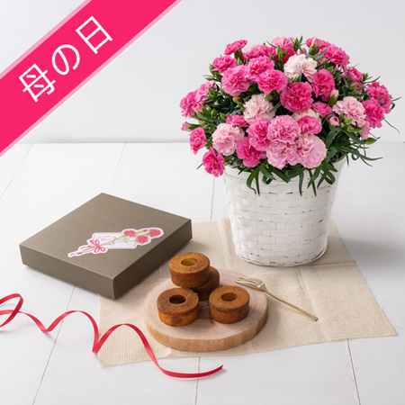 【5/6～9お届け　母の日】ホシファーム　カーネーション＆焦がしキャラメルがしみ込んだバーム