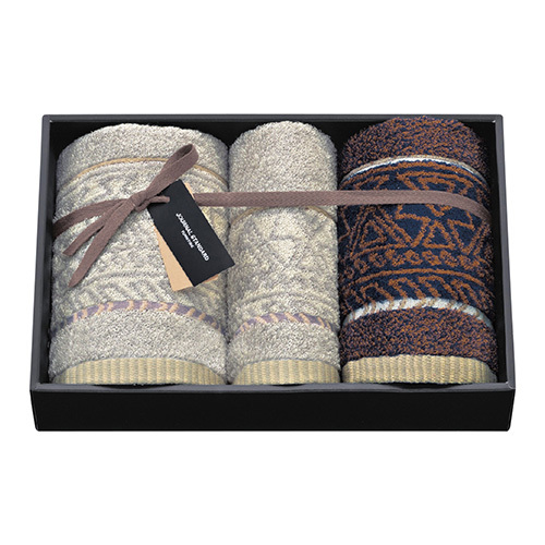 【大阪市内引取限定】FEELCYCLE Anywhere本体＋フルセット（美品） ジャーナル スタンダード ファニチャー クエスト タオルセットC 内祝い