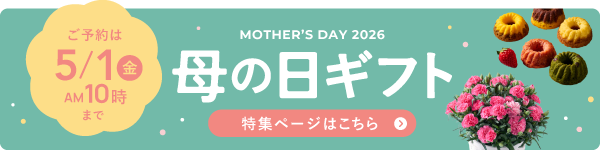 母の日ギフト5月1日AM10:00まで。特設ページはこちら。