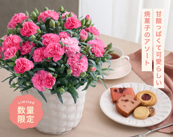 甘酸っぱくて可愛らしい焼菓子のアソート 数量限定