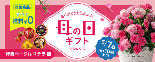 ♛millefeuilleリース♛ 磨い ピンク&ライトパープル/母の日ギフトにも