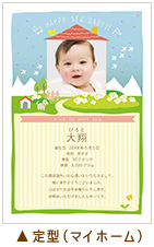 定型（マイホーム）
