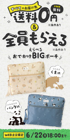 まとめ買い＆おでかけBIGポーチプレゼントキャンペーン（サイド）