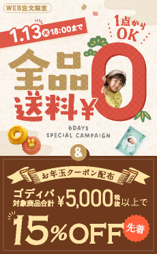 送料無料キャンペーン+お年玉キャンペーン ゴディバクーポン（サイド）