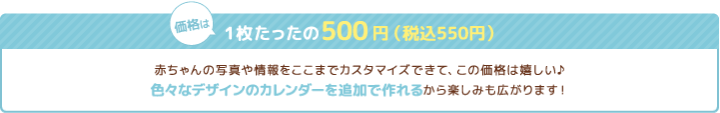 価格は1枚たったの500円(税込550円)